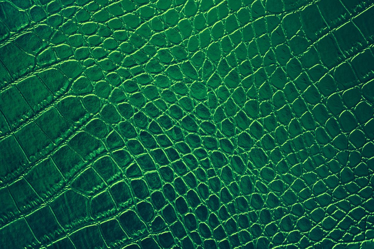 Image showing reptilian skin. For representational purposes. Credit: iStock Photo